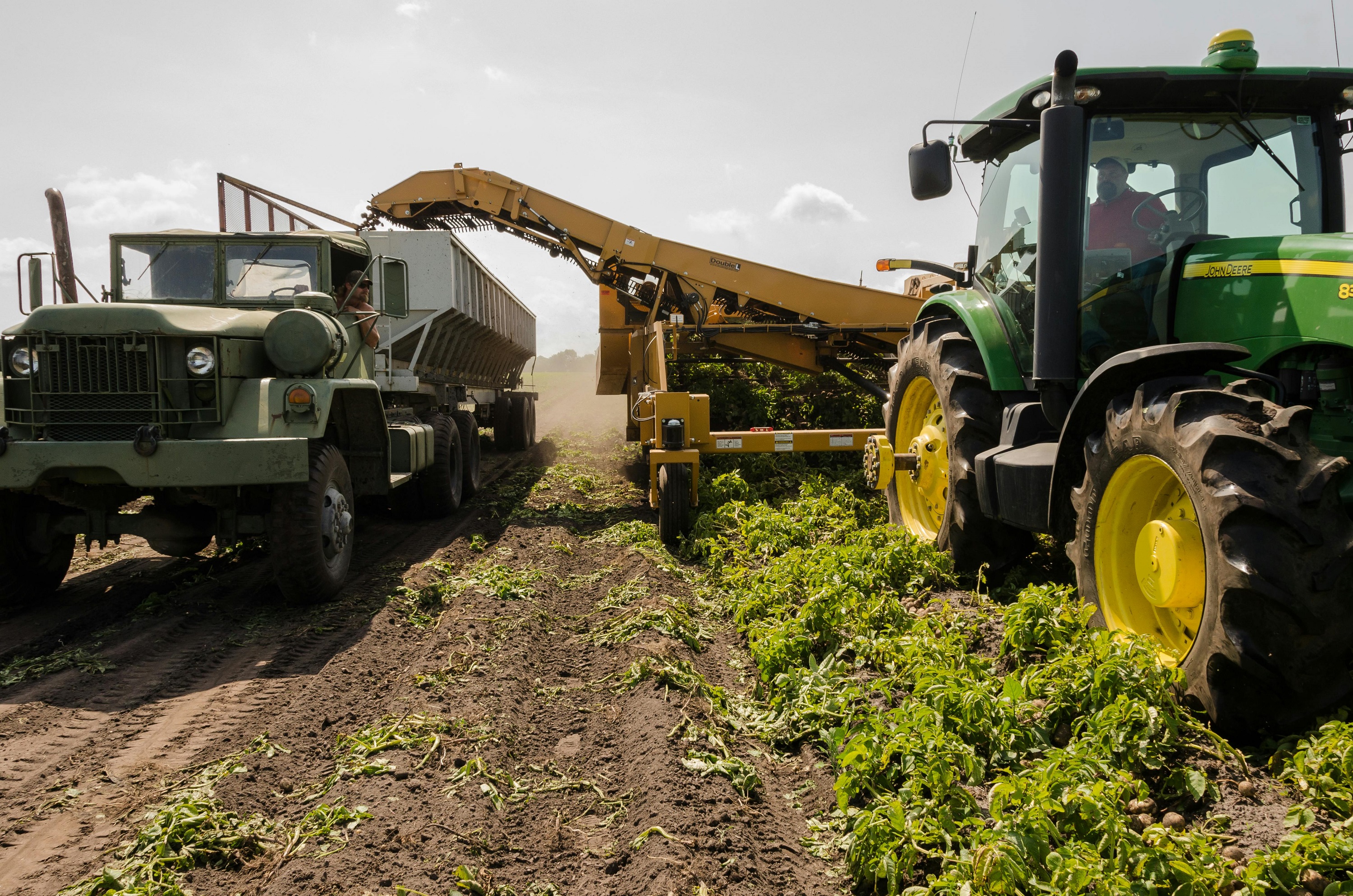 Agriculture image